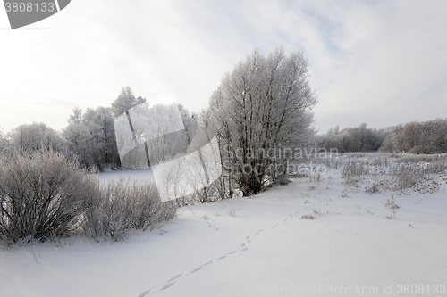 Image of Winter Park ,  snow.