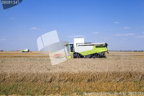 Image of Harvester in the field  