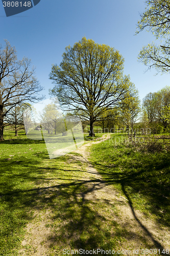 Image of Dirt road ,  spring  