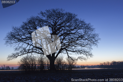 Image of Early Morning