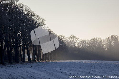 Image of Early Morning