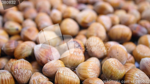 Image of nuts