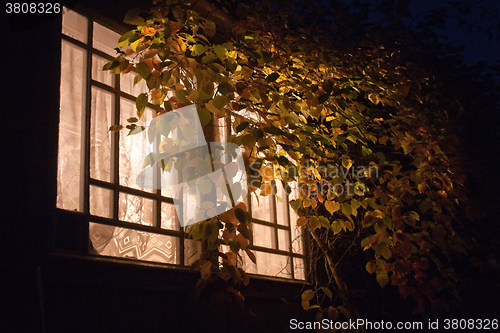 Image of night light window