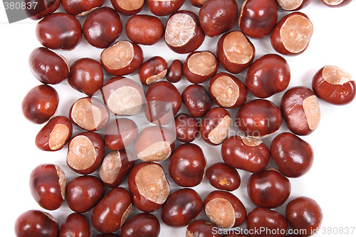 Image of chestnuts