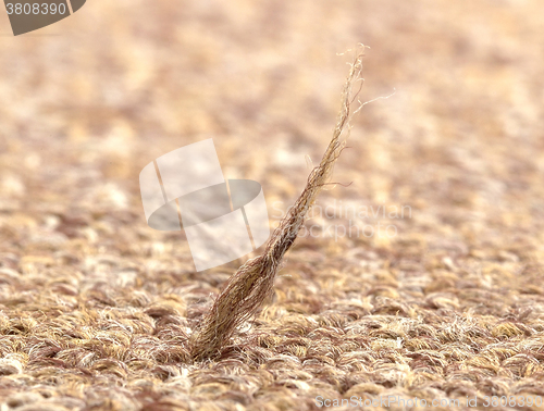 Image of Broken fiber in carpet texture close-up