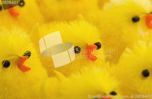 Image of Abundance of easter chicks, selective focus