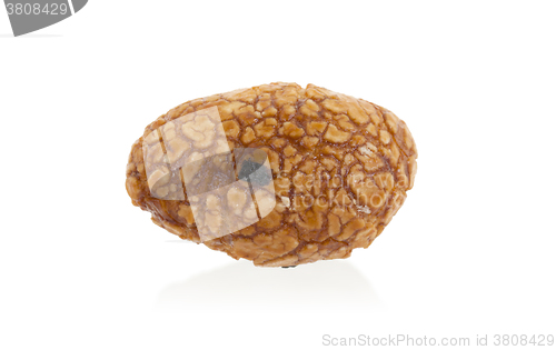 Image of Single Japanese sweet bean (nut)