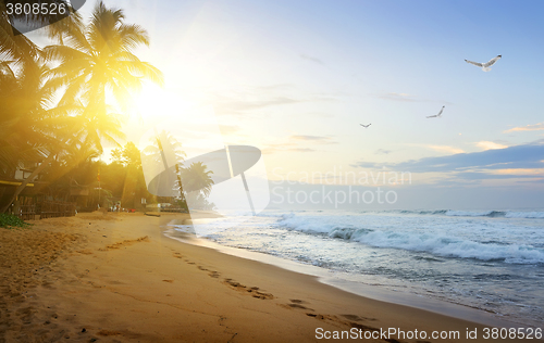 Image of Coast of the ocean