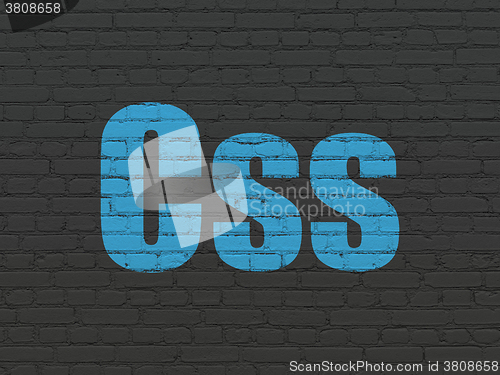 Image of Software concept: Css on wall background