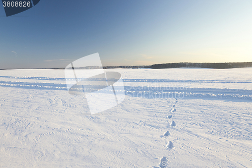 Image of snow covered field  