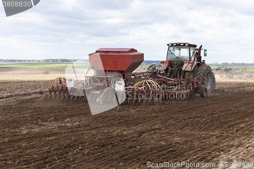 Image of sowing of cereals. Spring 