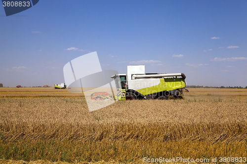 Image of Harvester in the field 