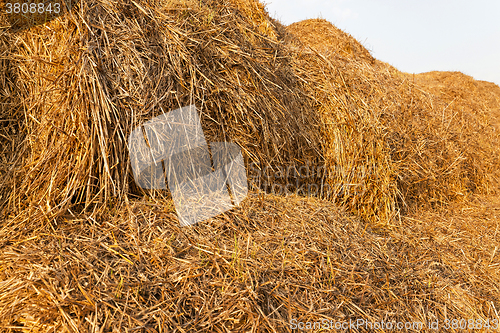 Image of bales of straw  