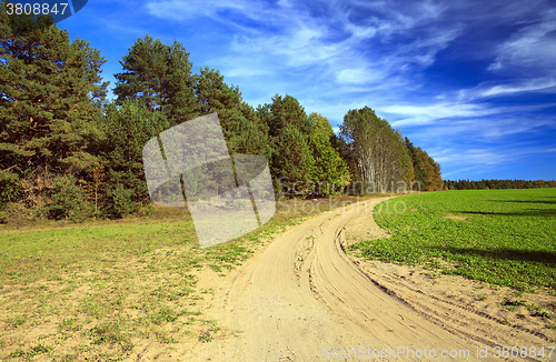 Image of autumn trees ,  Belarus