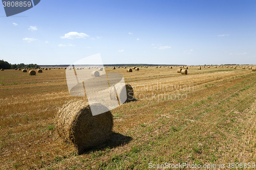Image of bales of hay 