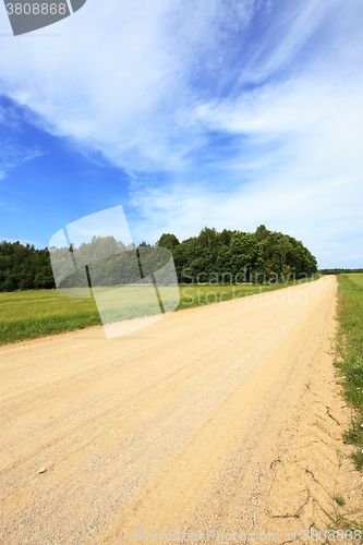 Image of rural road spring  