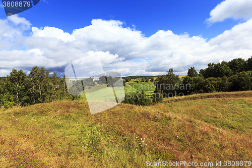 Image of green vegetation ,  plants  