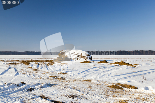 Image of snow covered field 