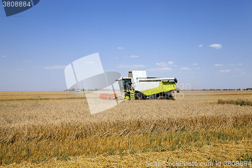 Image of Harvester in the field  