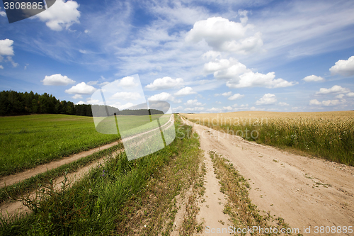 Image of Spring road , countryside,