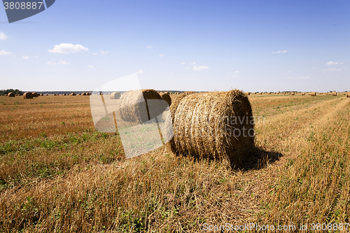 Image of bales of hay  