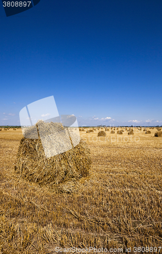 Image of haystacks straw  . closeup