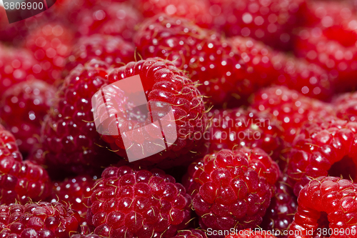 Image of red raspberry  , close-up  