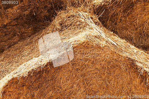 Image of haystacks piled straw  