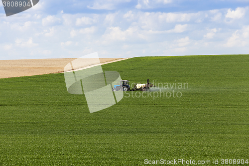 Image of Processing of cereal  