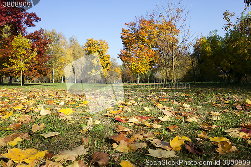 Image of autumn season,  foliage