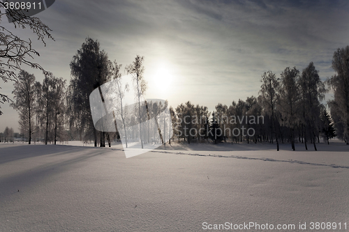 Image of Winter Park ,  snow.