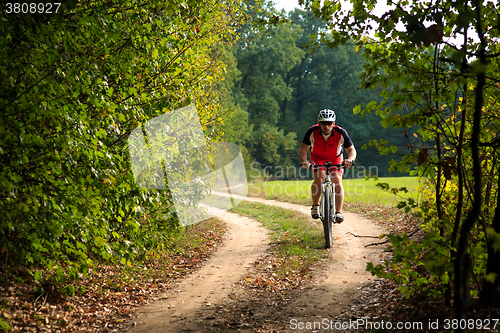 Image of Rider on Mountain Bicycle it the forest