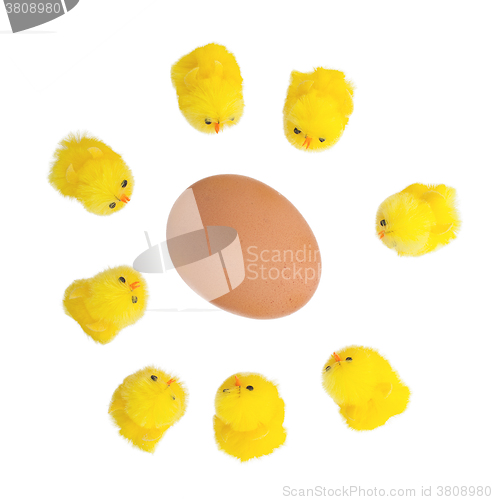 Image of Easter chicks surrounding a large egg