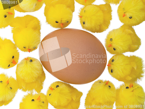 Image of Easter chicks surrounding a large egg