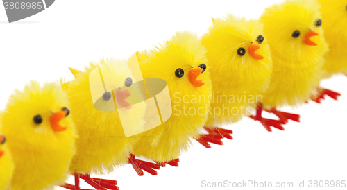 Image of Abundance of easter chicks, selective focus