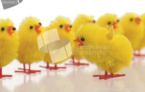 Image of Abundance of easter chicks, selective focus