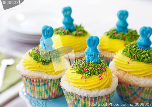 Image of Easter bunny cupcakes