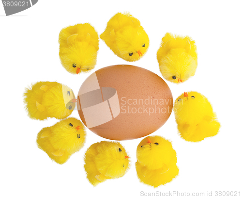 Image of Easter chicks surrounding a large egg