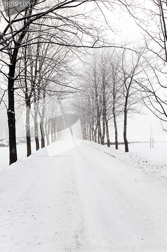 Image of winter road ,  snow