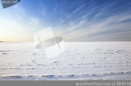 Image of the field covered with snow  