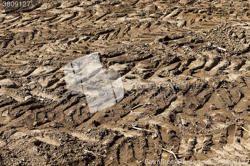 Image of lying on the ground grain  