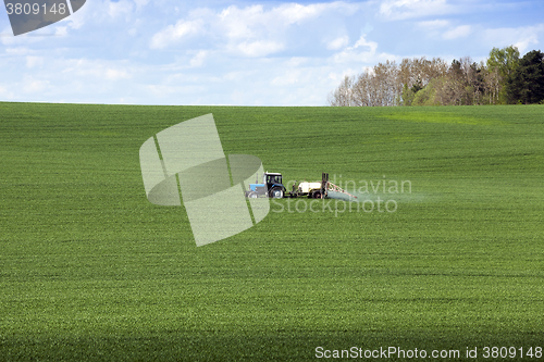 Image of Processing of cereal  