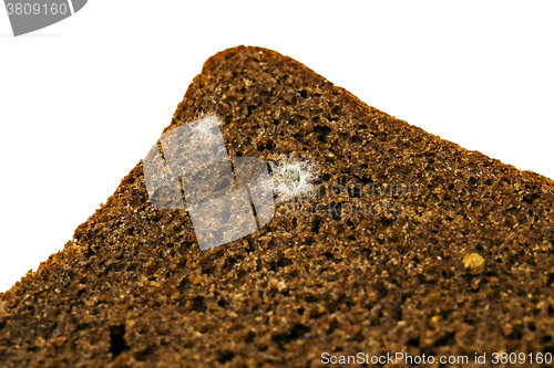 Image of mold on bread  