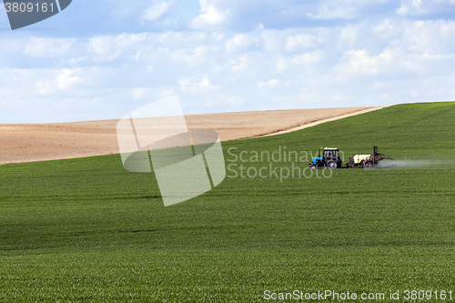 Image of Processing of cereal  