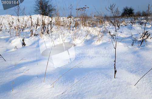 Image of snow covered field  