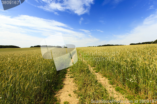 Image of   Belarus in spring  