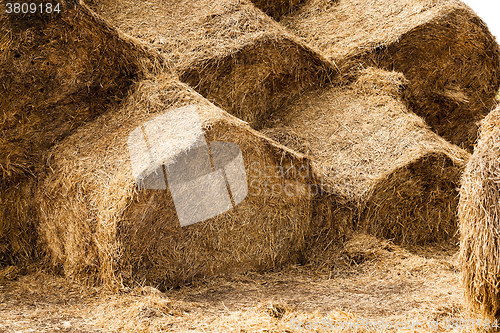 Image of haystacks piled straw  