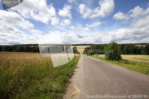 Image of Summer road ,  field