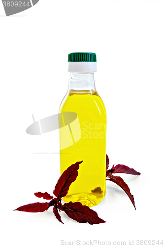 Image of Oil with amaranth in bottle