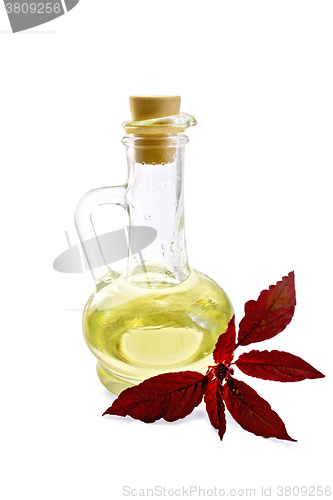 Image of Oil with amaranth in decanter